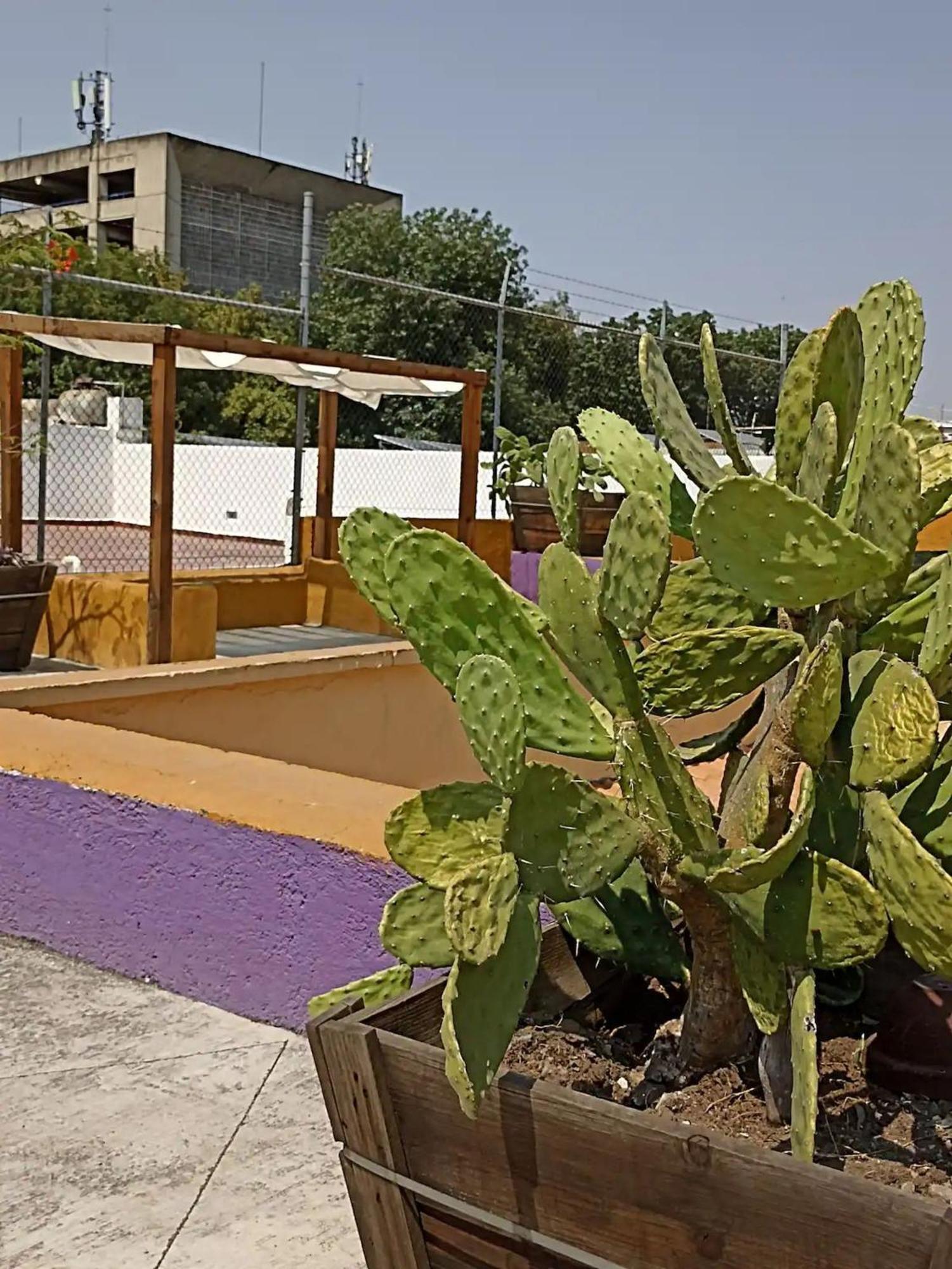 1 Guadalajara Corazon Del Centro Historico Hospedate En Una Casa Antigua En Una Habitacion Sencilla Con Areas Comunes Y Banos Compartidas Eksteriør billede